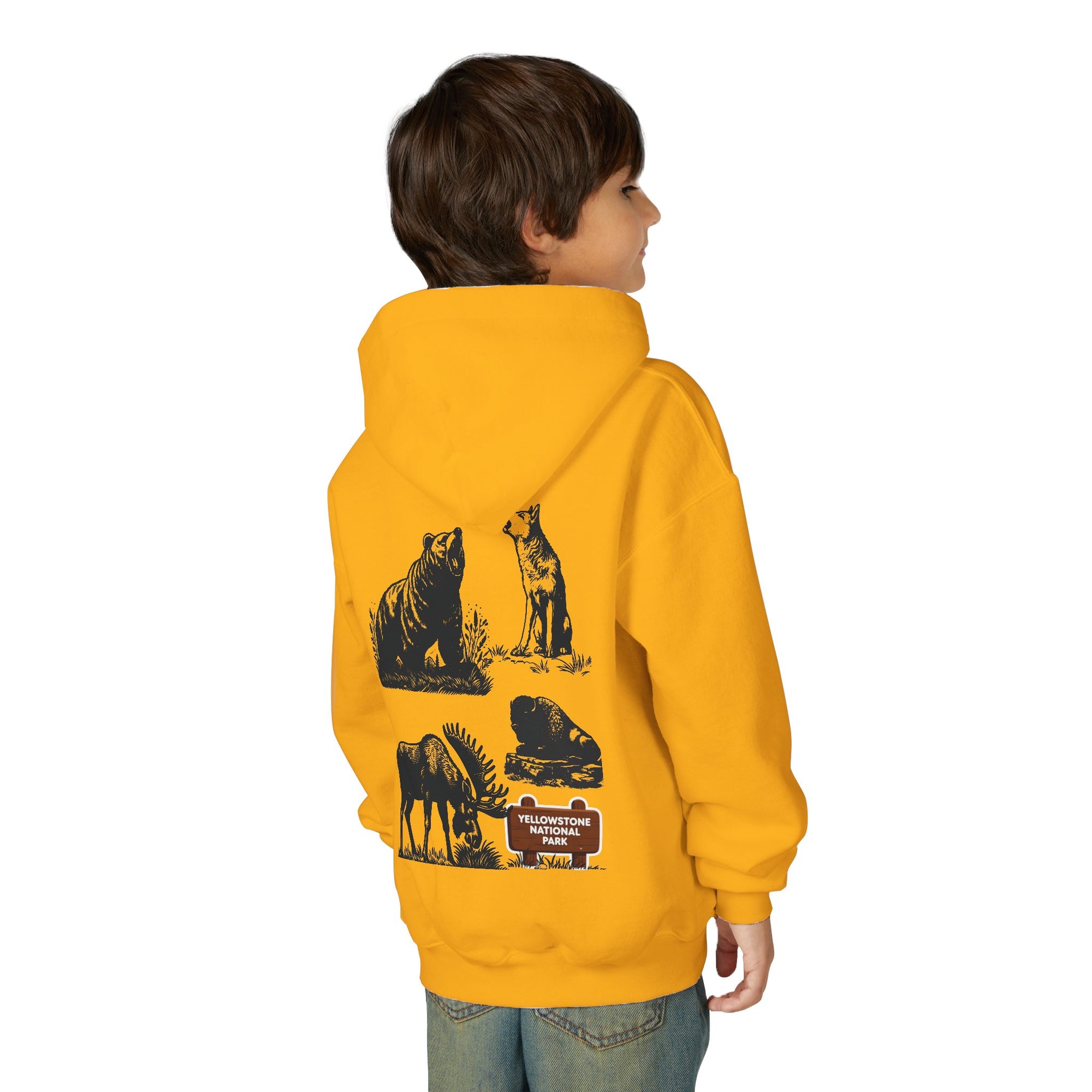 Yellowstone National Park Youth Graphic Hoodie