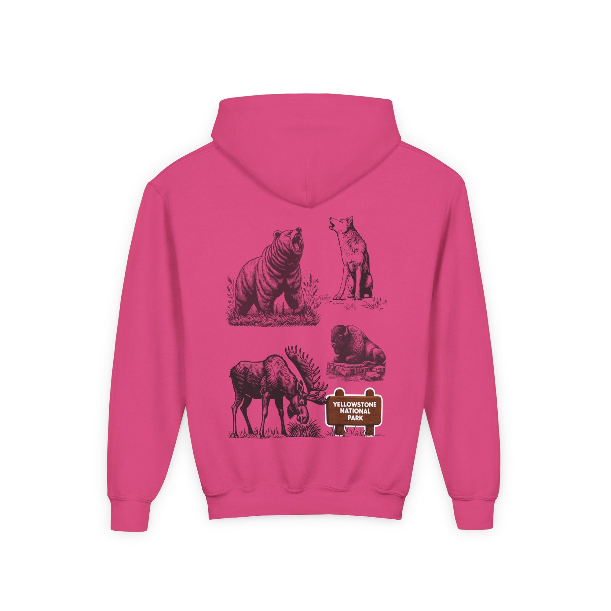 Yellowstone National Park Youth Graphic Hoodie