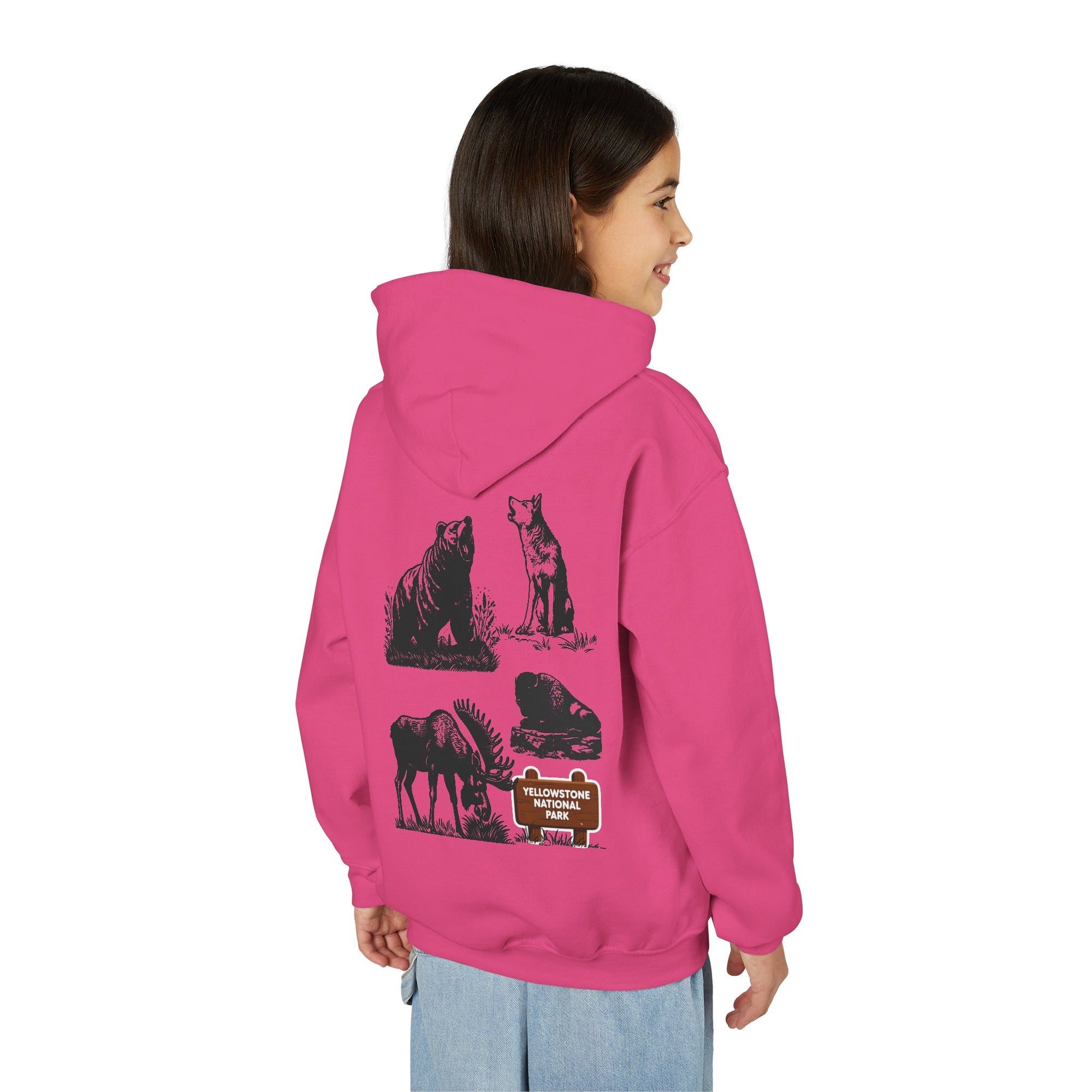 Yellowstone National Park Youth Graphic Hoodie
