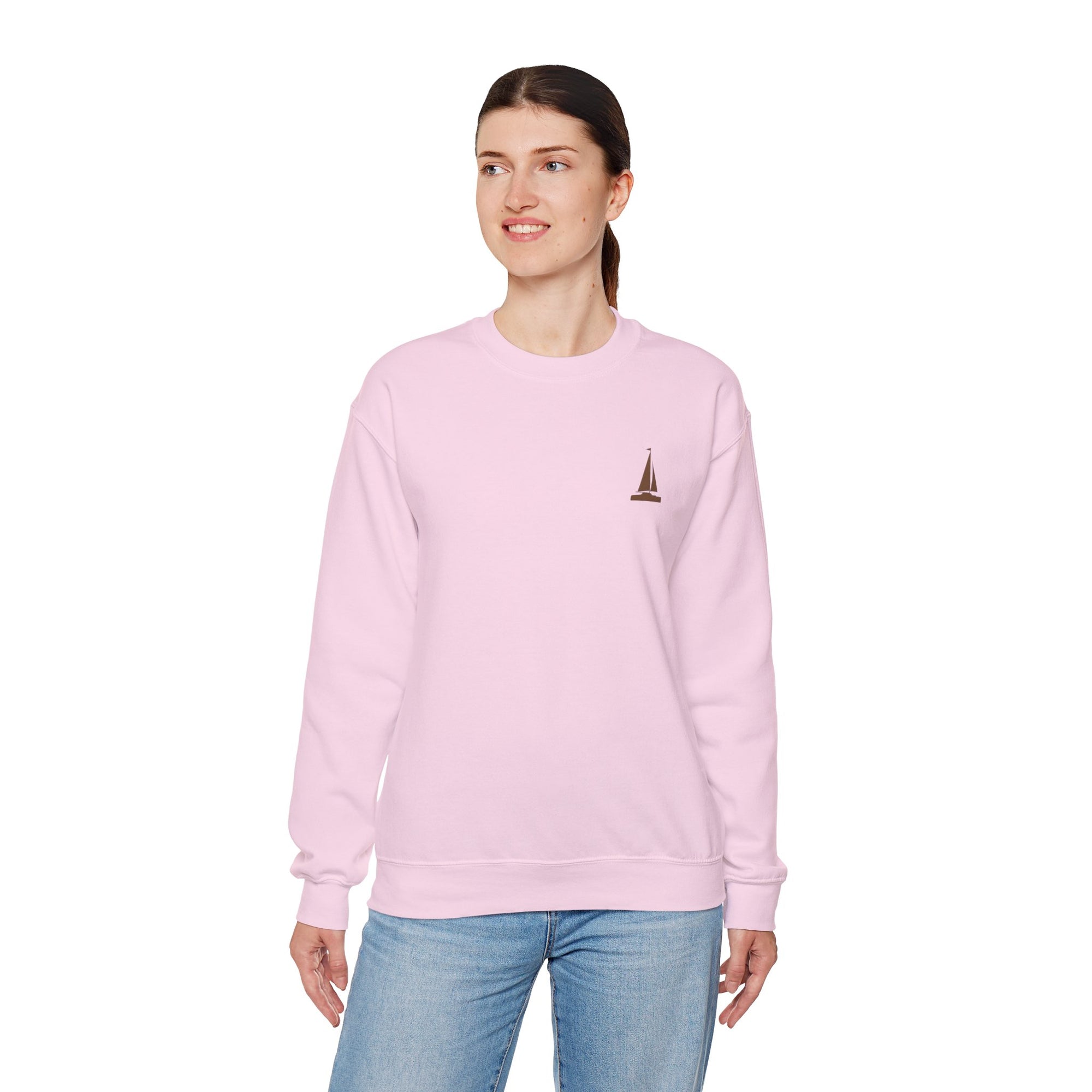 New York's Central Park Graphic Crewneck Sweatshirt