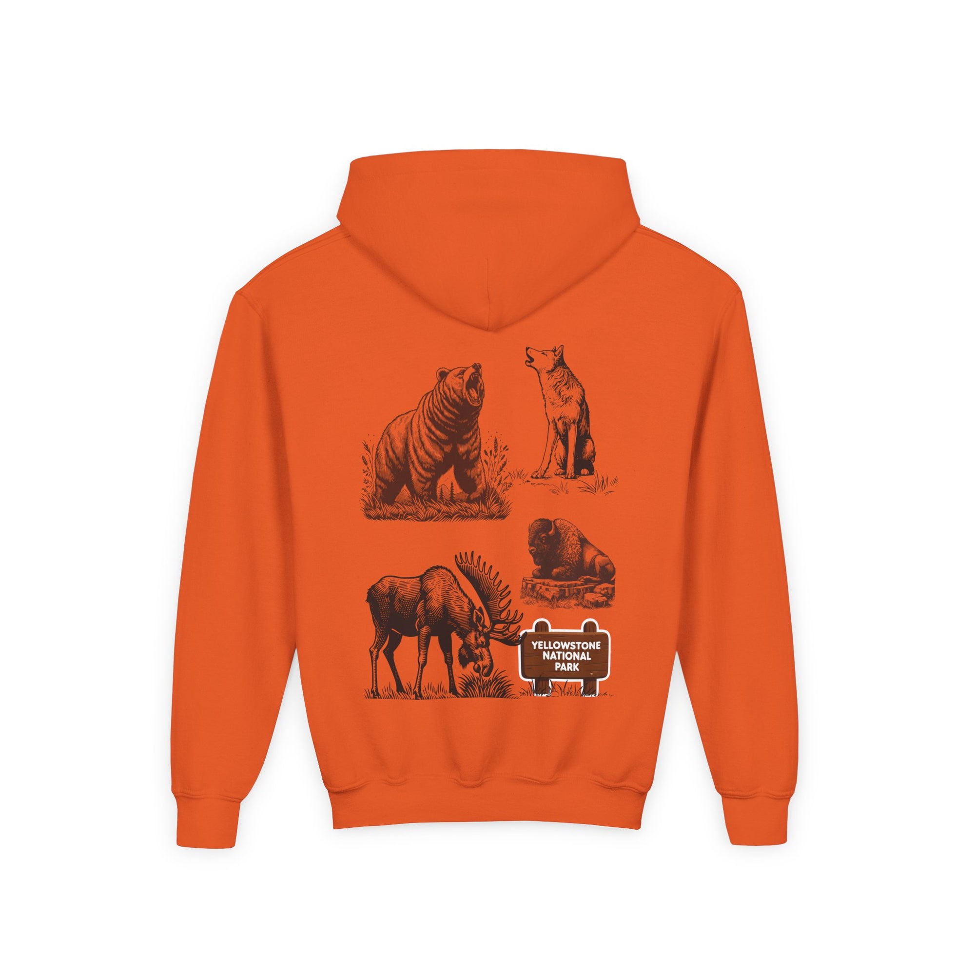 Yellowstone National Park Youth Graphic Hoodie