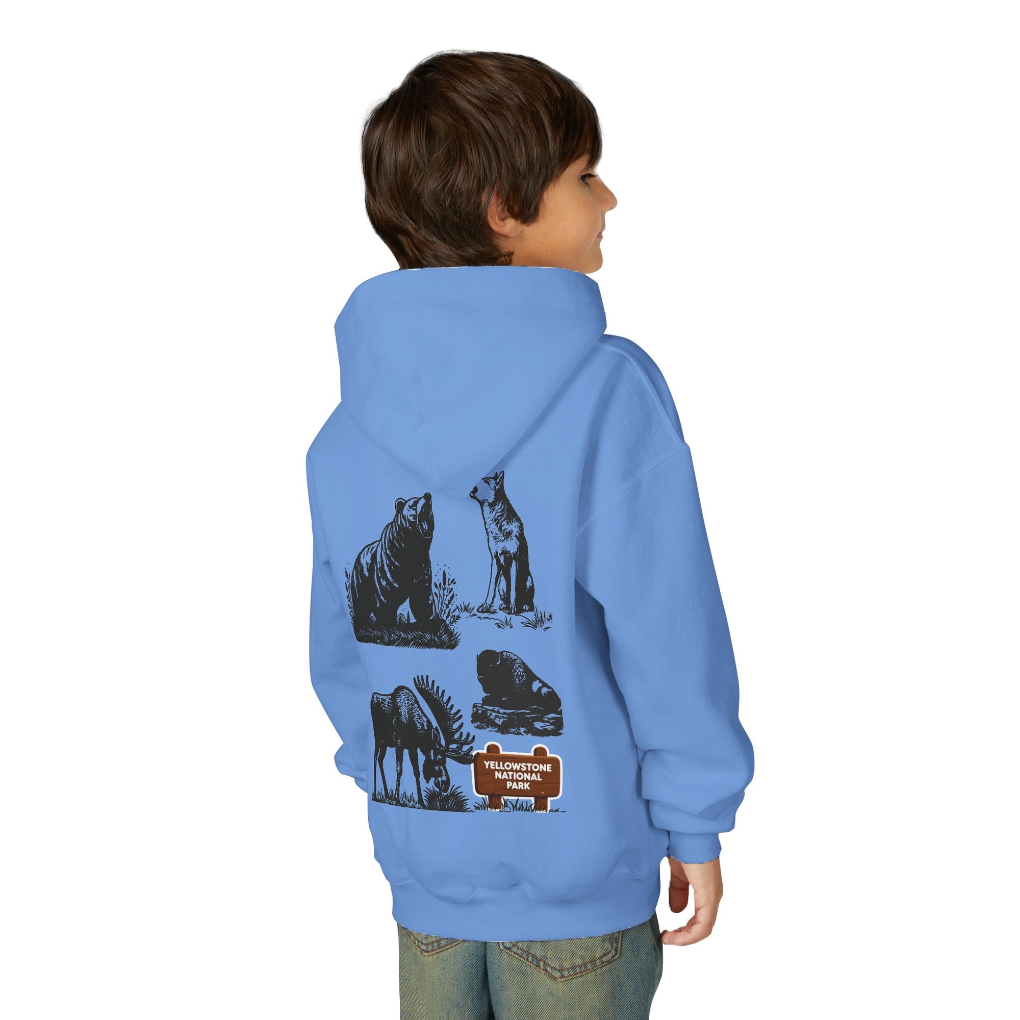 Yellowstone National Park Youth Graphic Hoodie