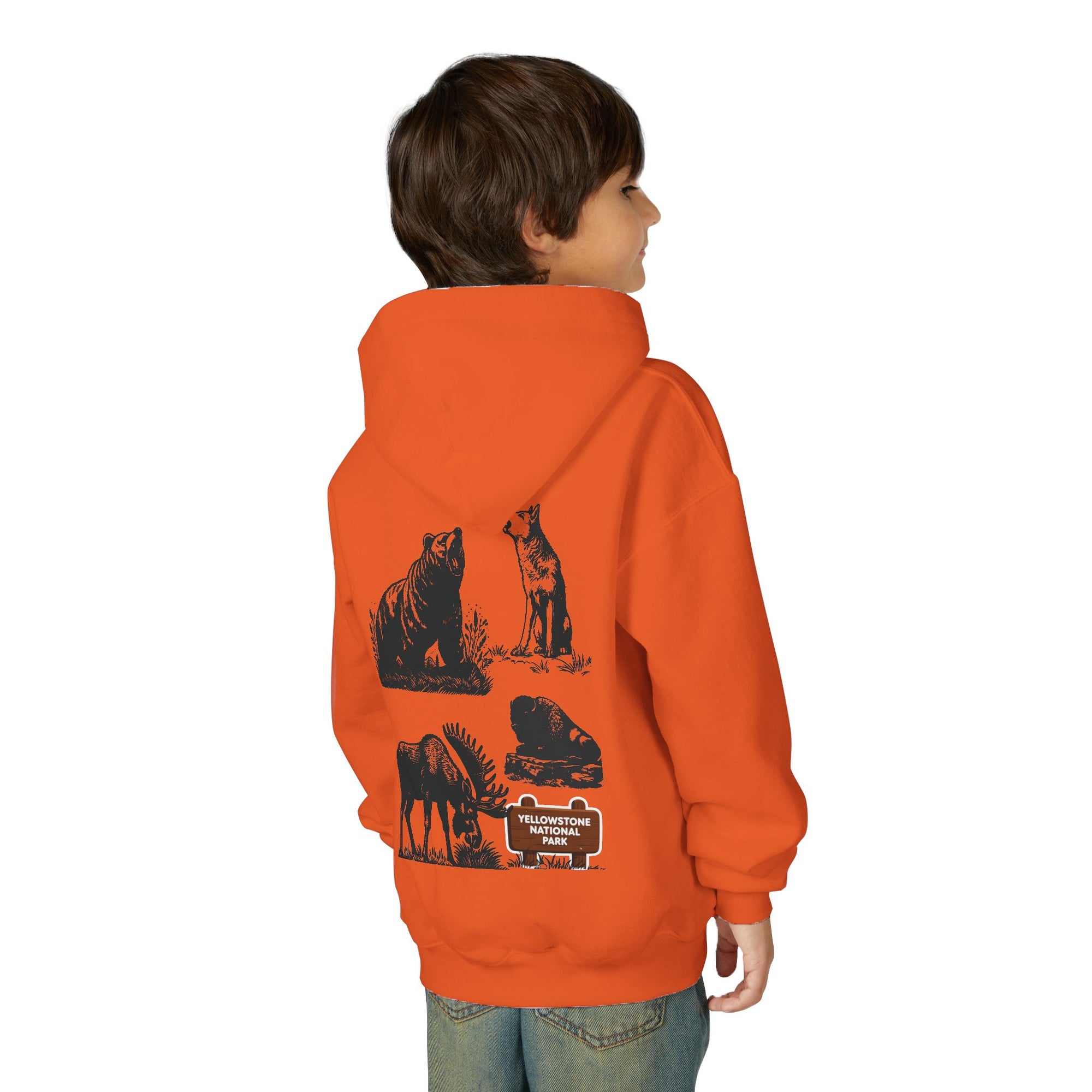 Yellowstone National Park Youth Graphic Hoodie