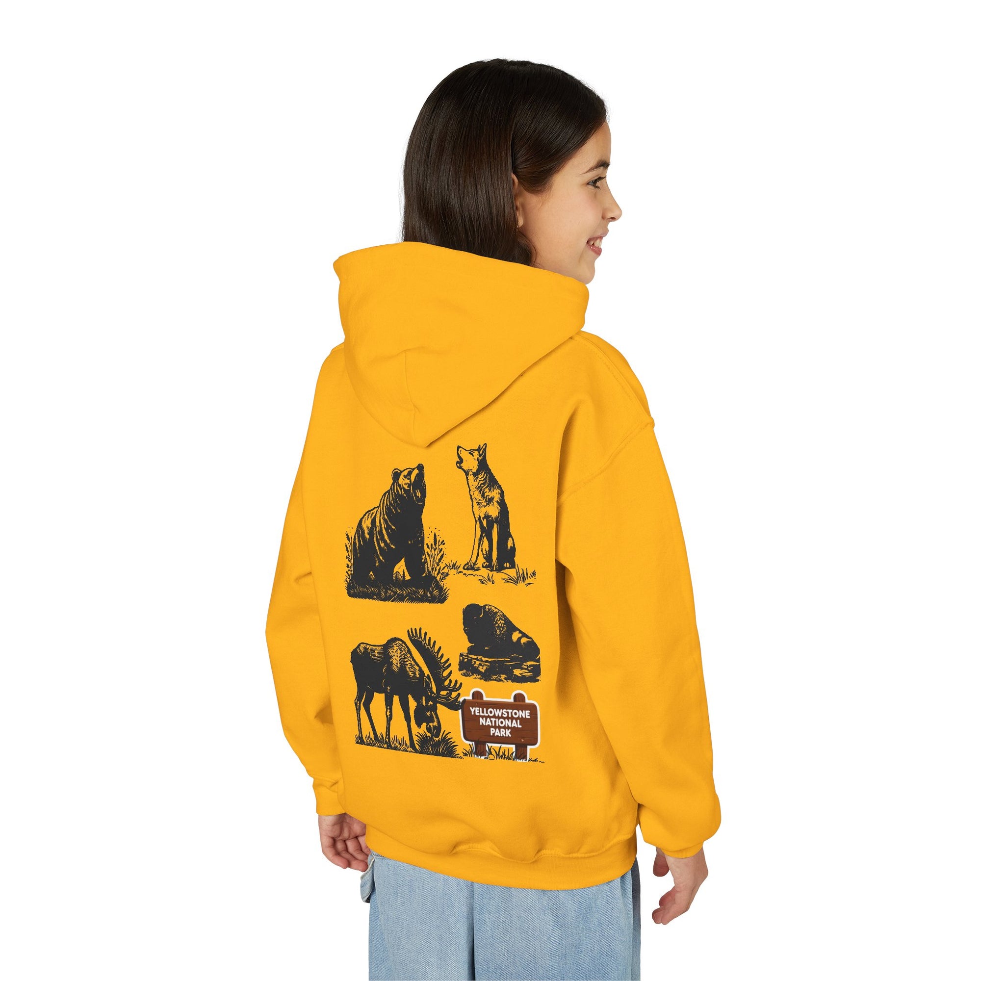 Yellowstone National Park Youth Graphic Hoodie