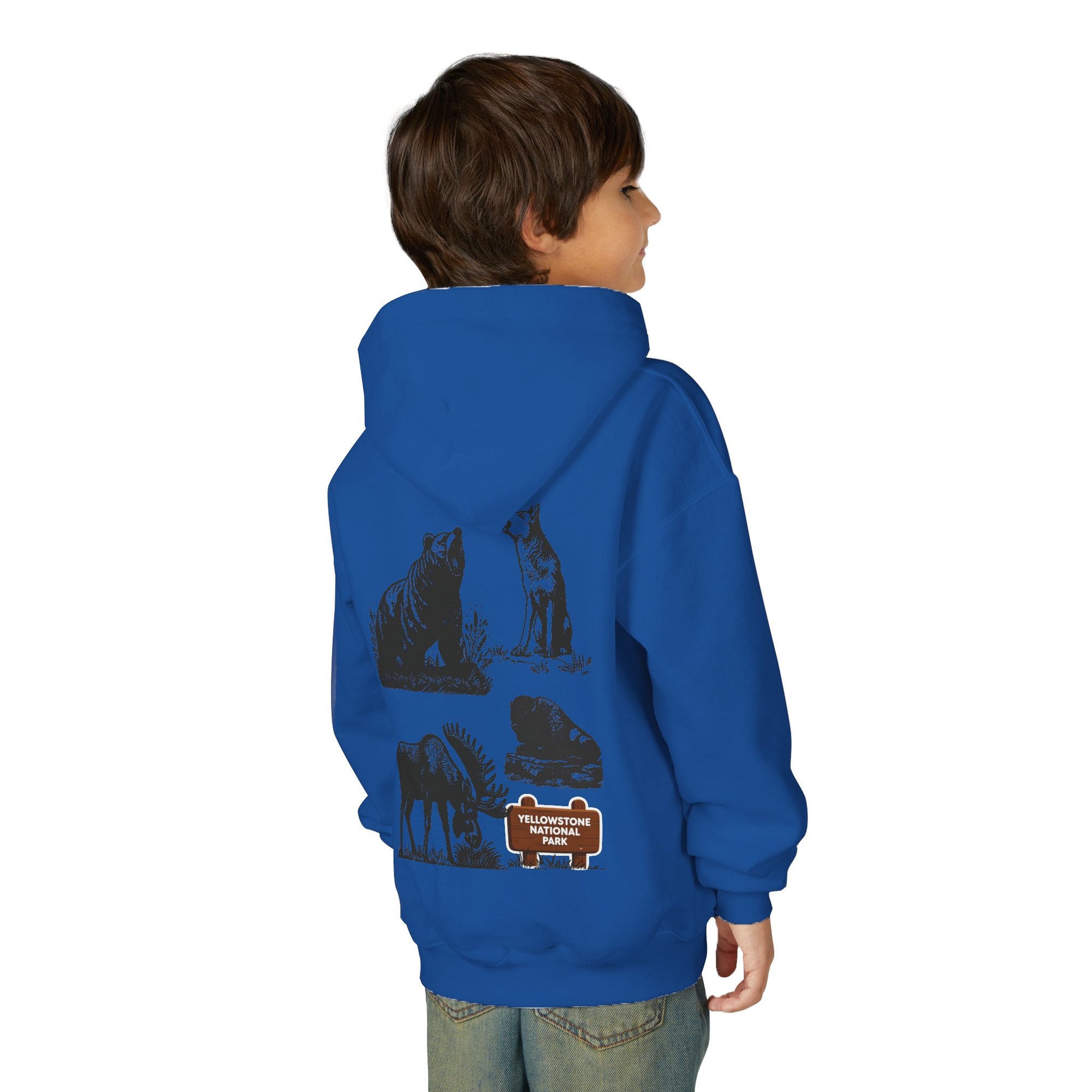 Yellowstone National Park Youth Graphic Hoodie