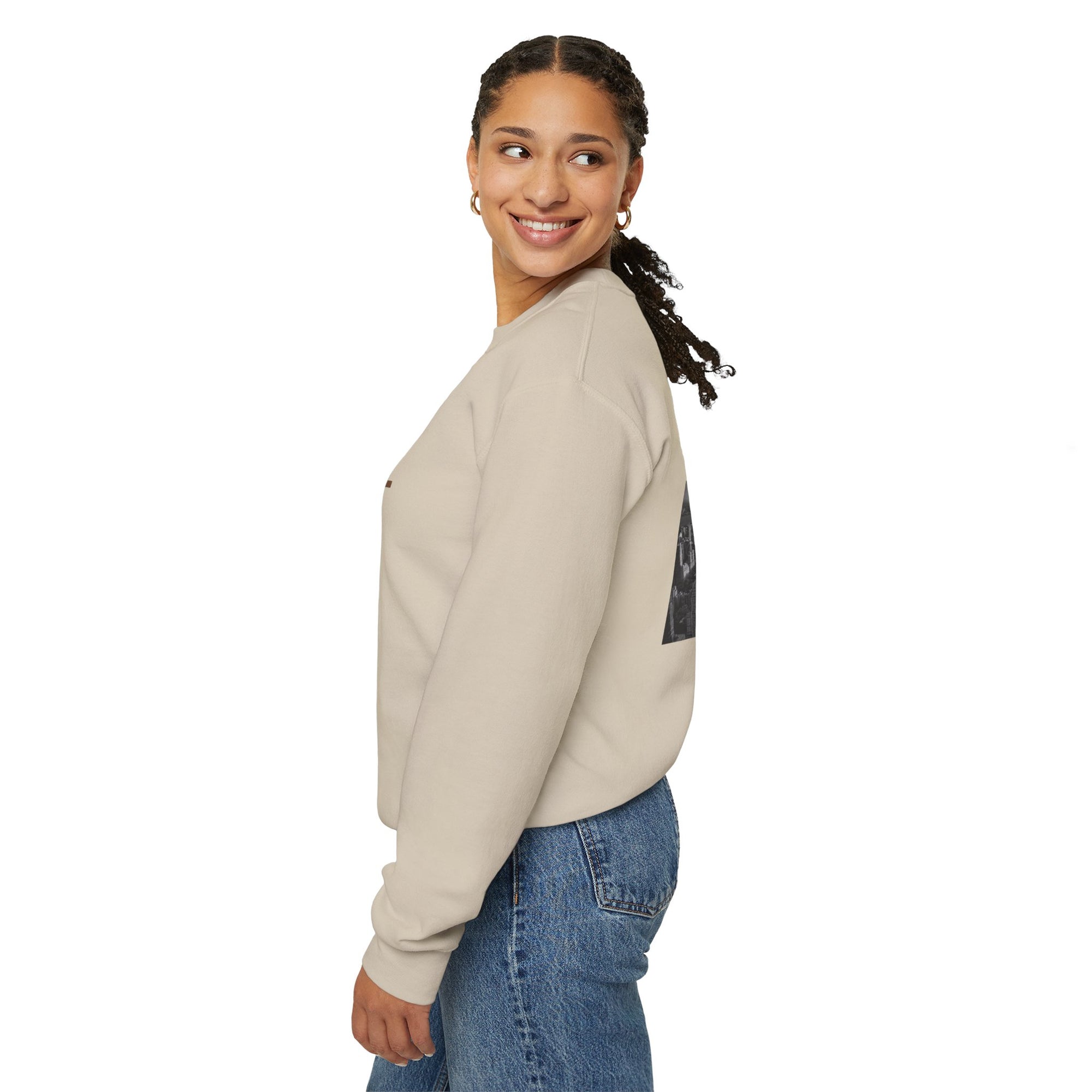 New York's Central Park Graphic Crewneck Sweatshirt
