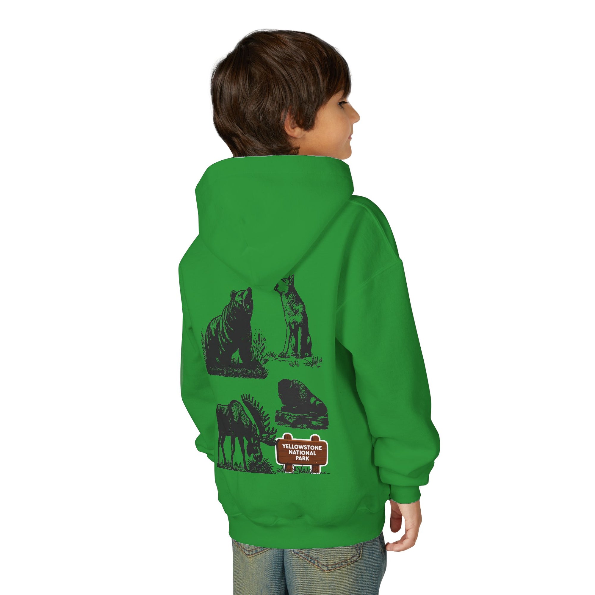Yellowstone National Park Youth Graphic Hoodie