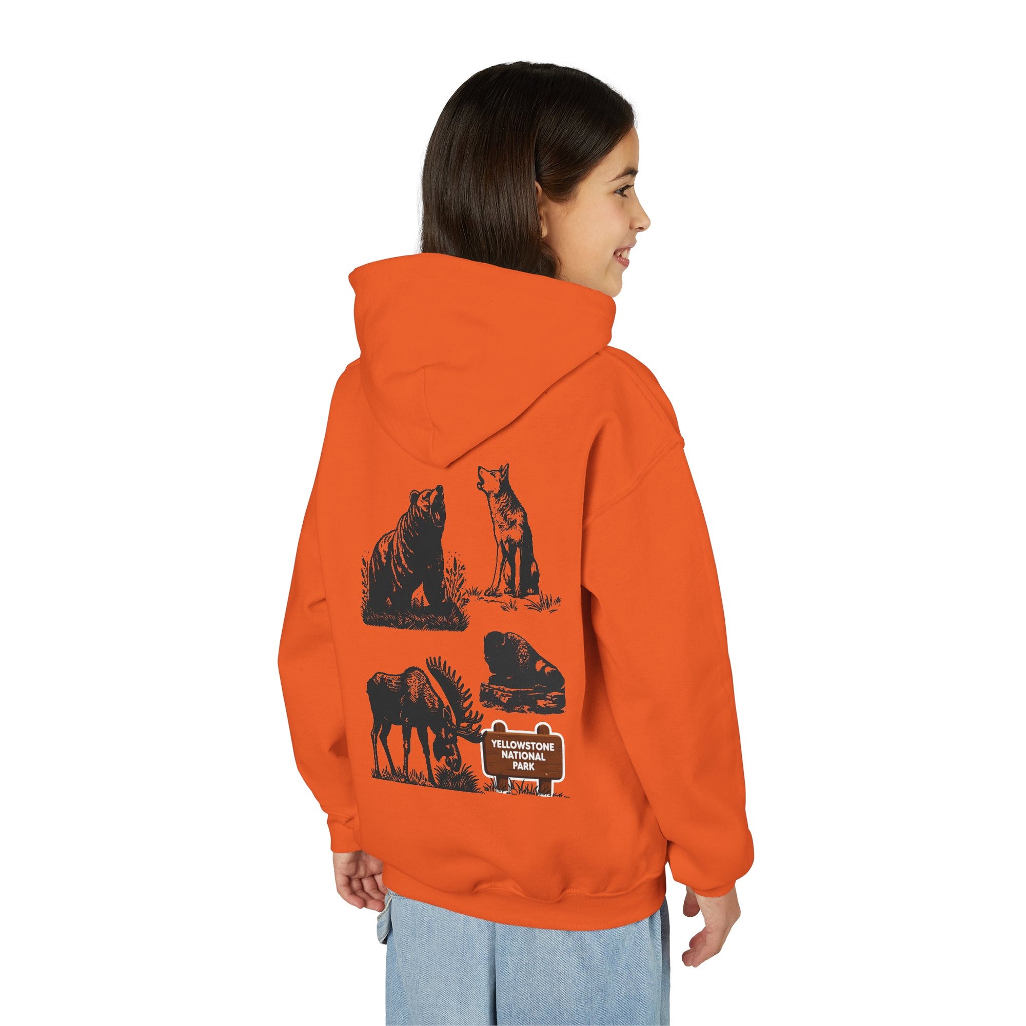 Yellowstone National Park Youth Graphic Hoodie