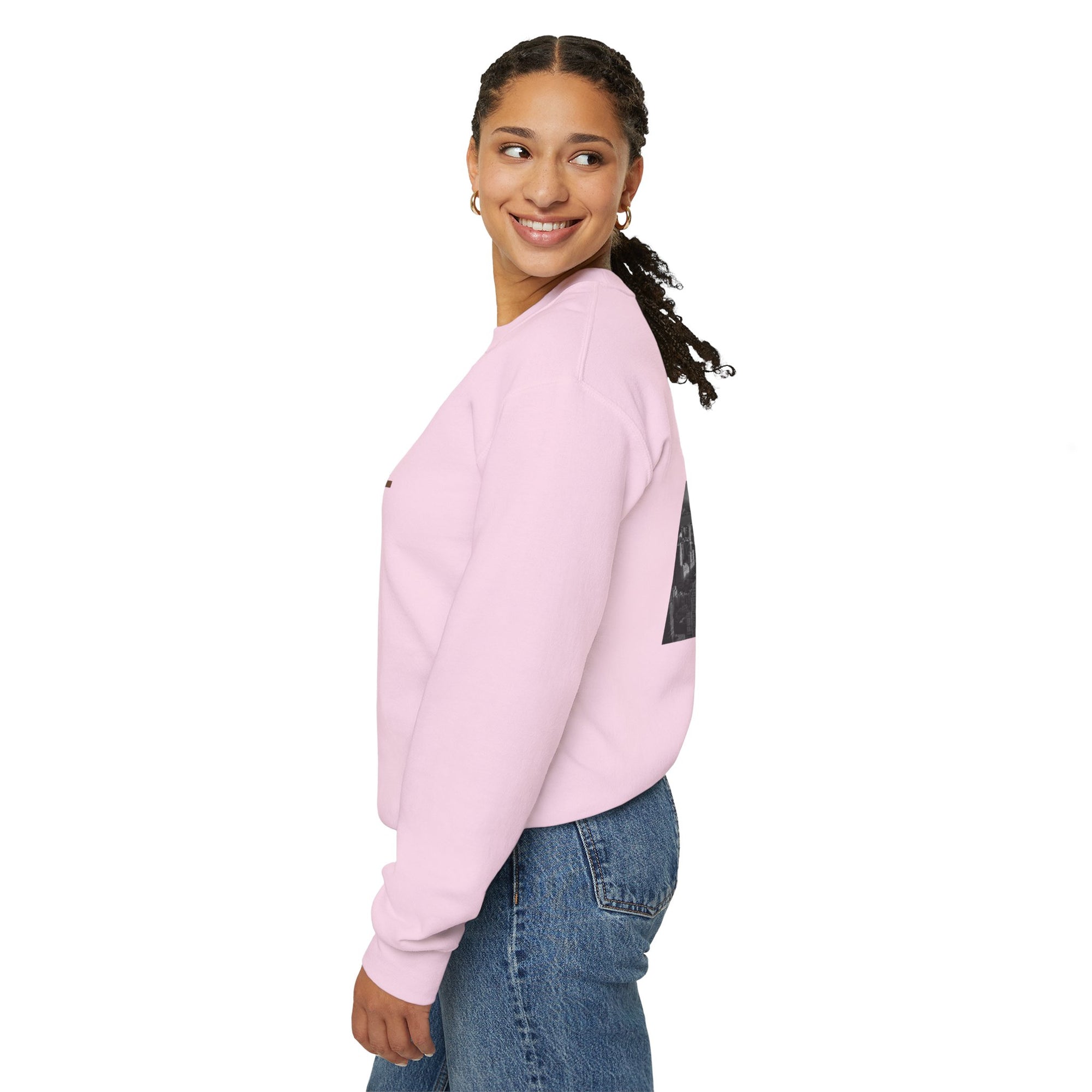 New York's Central Park Graphic Crewneck Sweatshirt