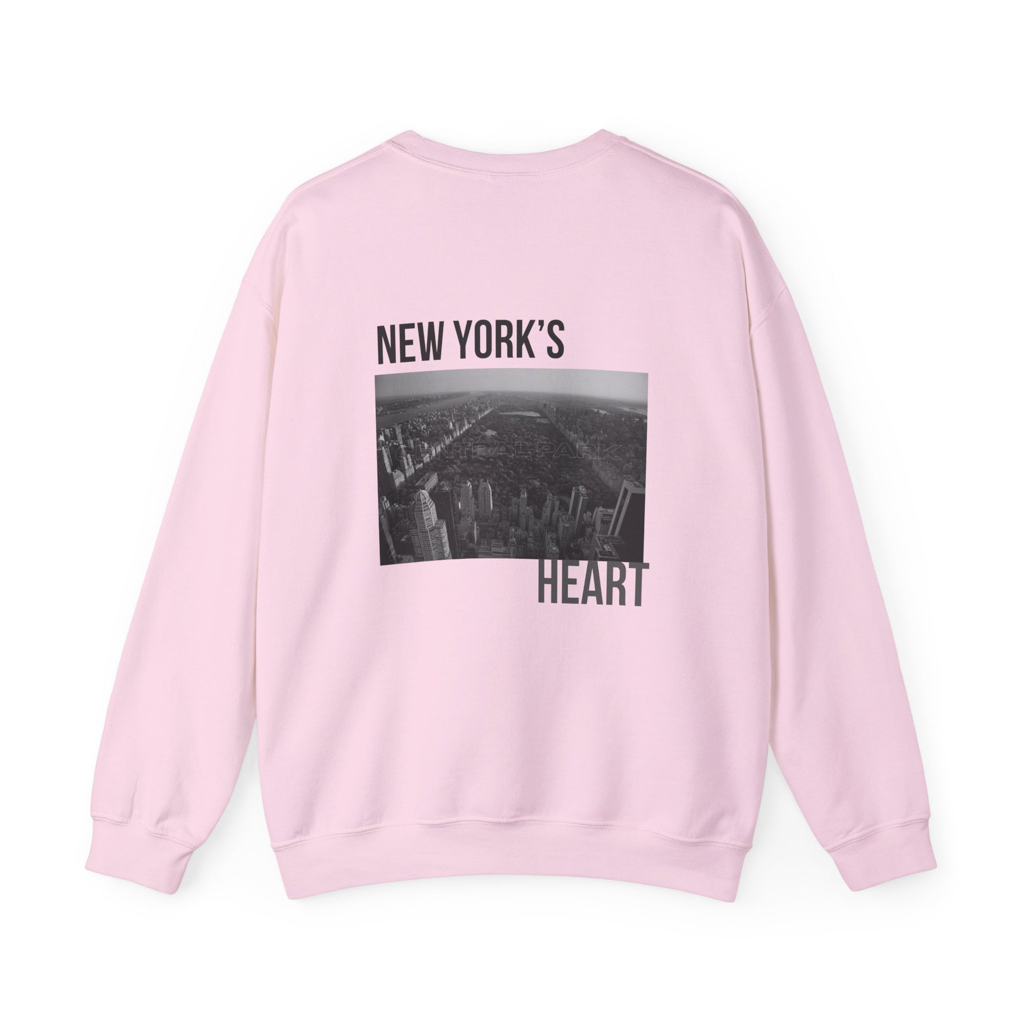 New York's Central Park Graphic Crewneck Sweatshirt