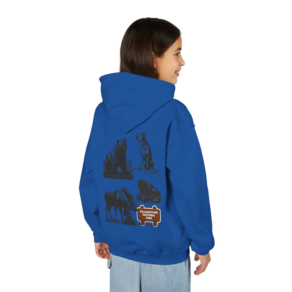 Yellowstone National Park Youth Graphic Hoodie