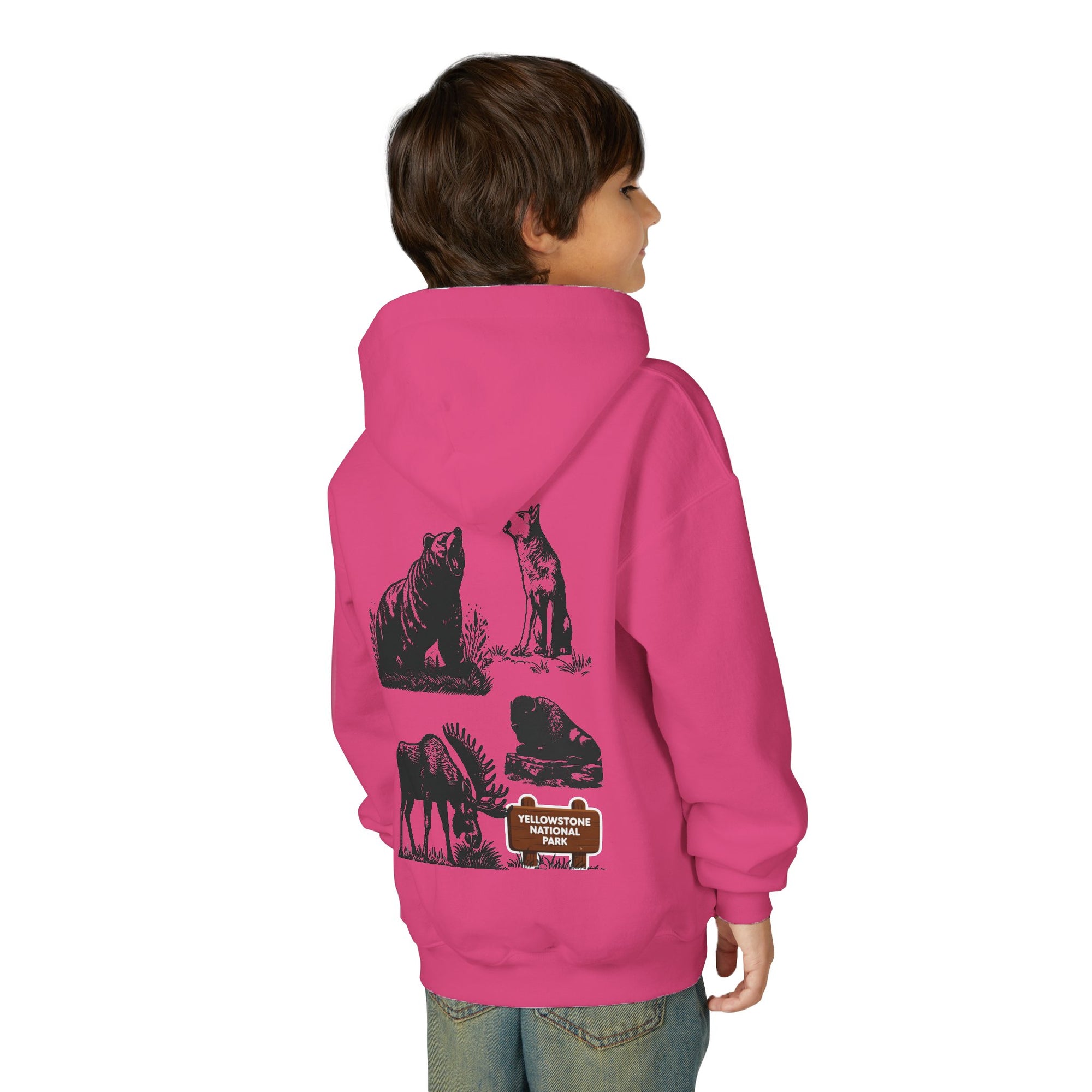 Yellowstone National Park Youth Graphic Hoodie