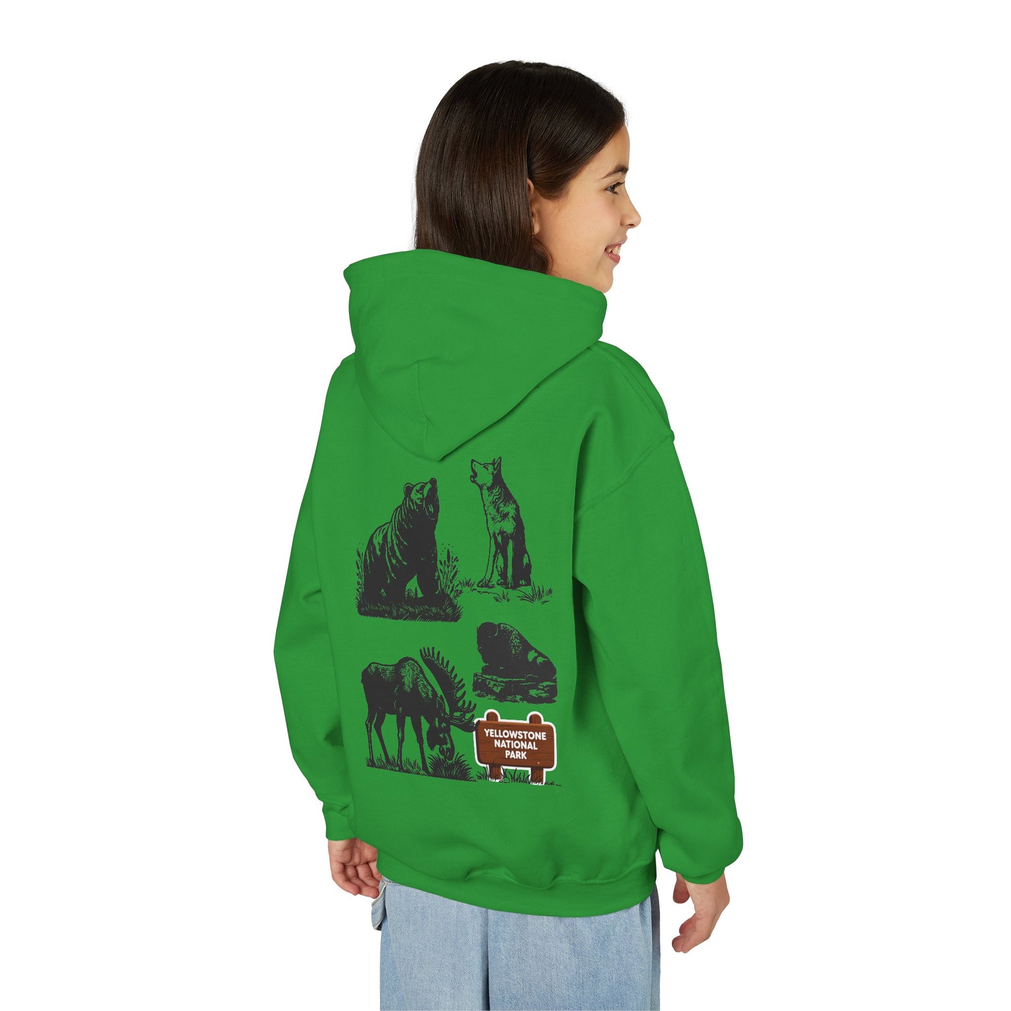 Yellowstone National Park Youth Graphic Hoodie